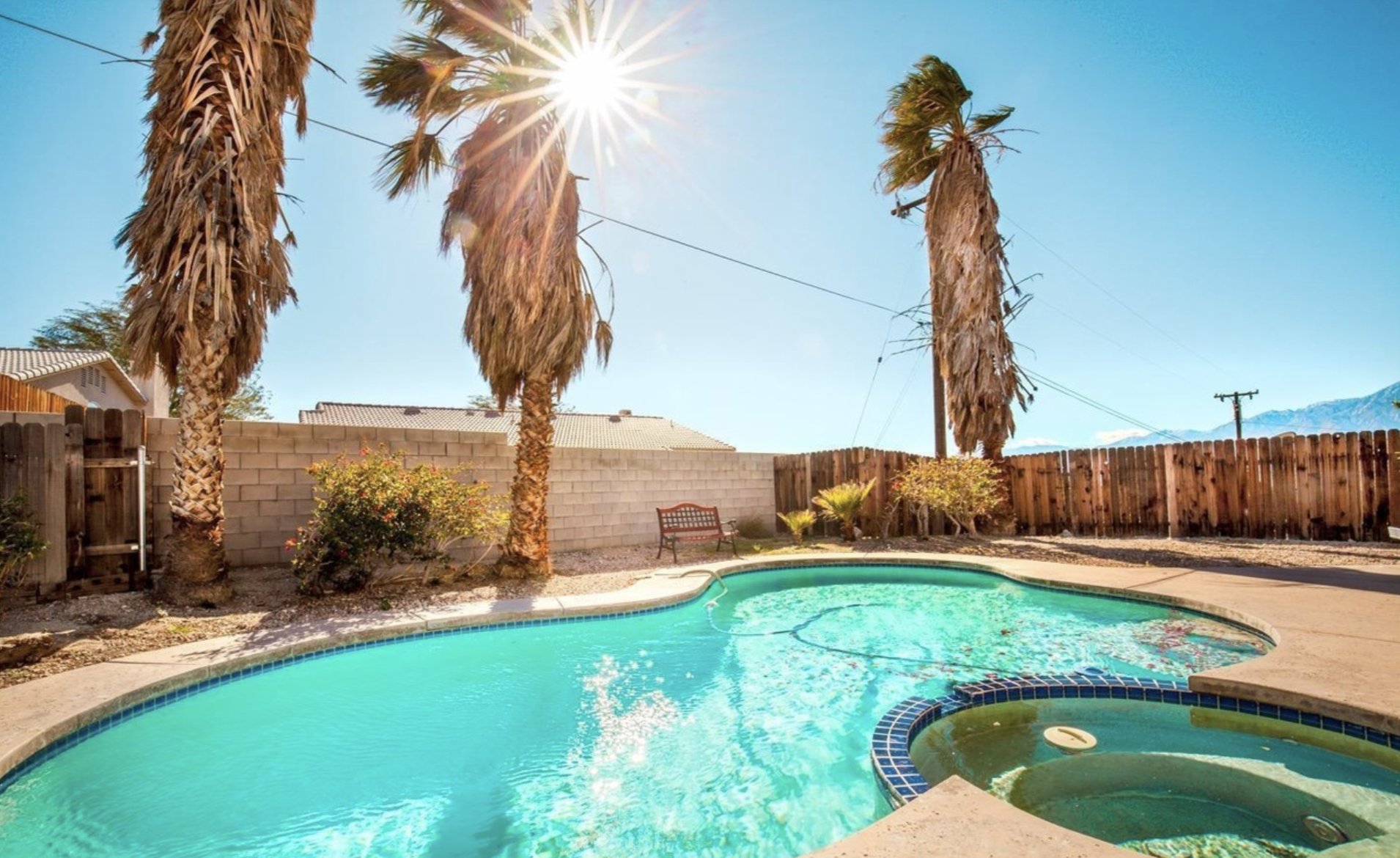 Before: pool with tall palms before updates